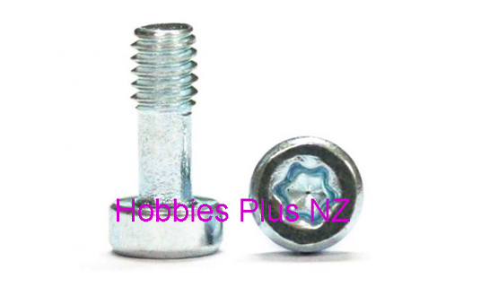 Sloting Plus Screw M2.5 x 7.5 for CARRERA bodies  SP 159912